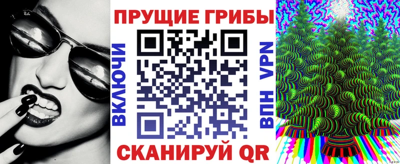 купить закладку  Нытва  Галлюциногенные грибы мицелий 